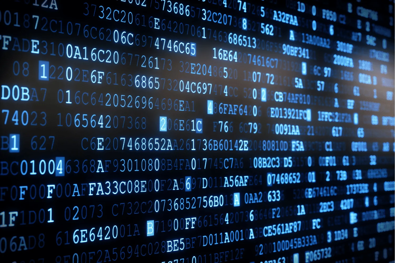 Shadow IT risks and prevention